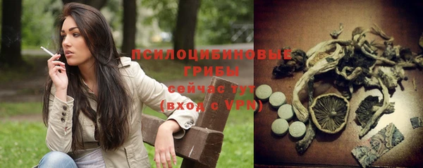 Альфа ПВП Гатчина