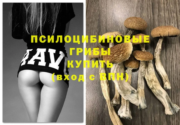 тгк Бородино