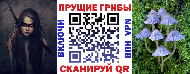 даркнет сайт  МЕГА как зайти  Псилоцибиновые грибы мицелий  Озёрск 